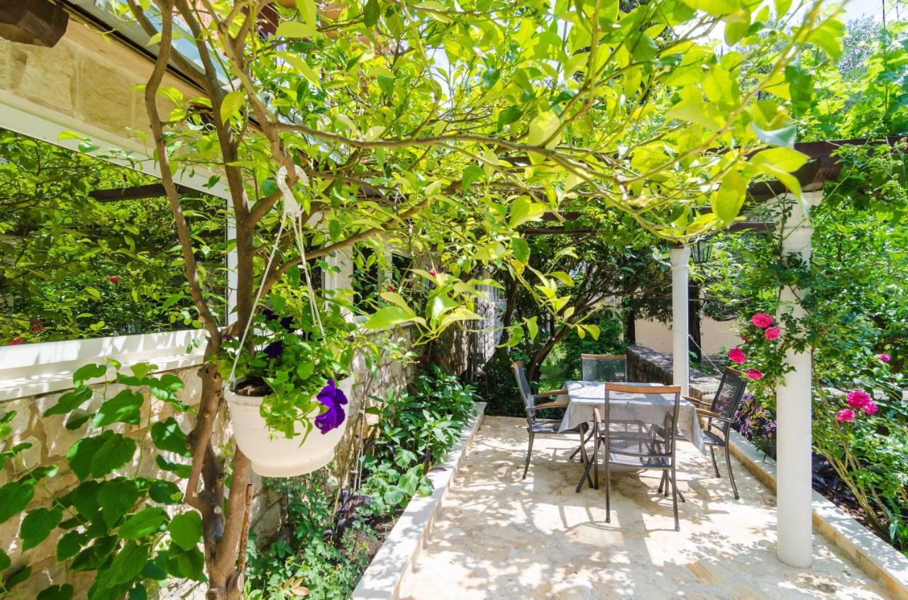 Camelia Luxury Apartments ドゥブロブニク エクステリア 写真